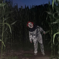 Pop Corn Labyrinthe Yvelines - 6