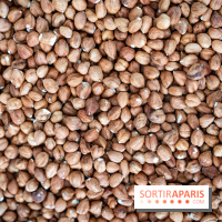 Pleincœur : Atelier Noisette & Chocolat - boutique et atelier Paris 17e, les photos - A7C04709