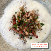 Divellec - Encornets en persillade, chorizo