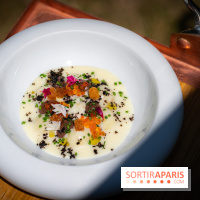 Restaurant Papylles à Bois-le-Roi - les photos - La pomme de terre nouvelles de Julien Favry Velouté Vichyssoise, œufs de truite fumée, olives noires