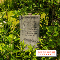 Le Musée Stéphane Mallarmé - 77 - les photos - A7C02490