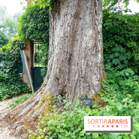 Le Musée Stéphane Mallarmé - 77 - les photos - A7C02423