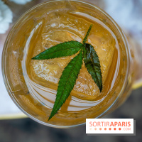 Frivole, restaurant festif, bar et terrasse cachée à Paris, les photos - A7C04326