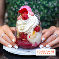 Les glaces et coupes glacées de Pierre Hermé pour l'été  - A7C04944