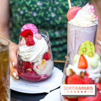 Les glaces et coupes glacées de Pierre Hermé pour l'été  - A7C04951