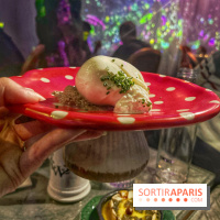 Wonderwoods - IMG 3707