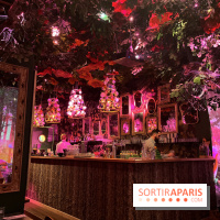 Wonderwoods - IMG 3728