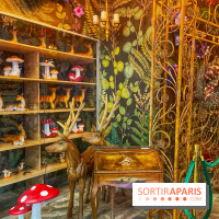 Wonderwoods - IMG 3742