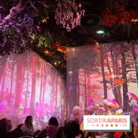 Wonderwoods