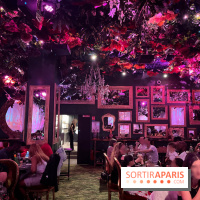 Wonderwoods - IMG 3816