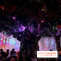 Wonderwoods