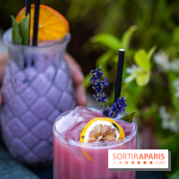 Le Domaine des Vanneaux MGallery - les photos - A7C04492