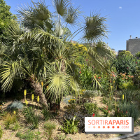 Parc de la Planchette - nos photos - D3507EBA 8E2F 4894 99AB 1E984D7909B4