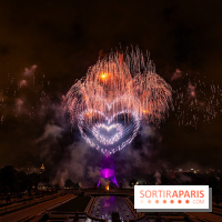 Le feu d’artifice du 14 juillet 2025 de Paris - les photos