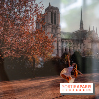 Exposition Dancing the Earth au Couvent de l'Annonciation Paris 8e - A7C06559