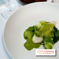 Geoélia - Lieu jaune, cresson, concombre