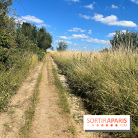 Paris-Rambouillet à pied - nos photos - DF4FD716 169E 424A 938E 9B3E81624D76