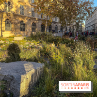 Jardin mémoriel du 13 novembre 2015 - Jardin du Souvenir - nos photos - IMG 1809