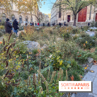 Jardin mémoriel du 13 novembre 2015 - Jardin du Souvenir - nos photos - IMG 1814