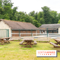 L'Hippodrome de la Solle à Fontainebleau - photos - A7C02773