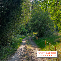 Parc de la Roseraie Châtenay - IMG 4428 jpg