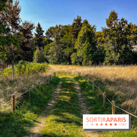 Parc de la Roseraie Châtenay - IMG 4435 jpg