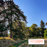 Parc de la Roseraie Châtenay