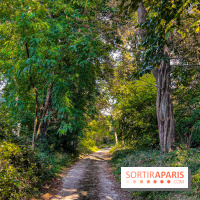 Parc de la Roseraie Châtenay - IMG 4451 jpg