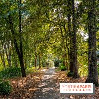 Parc de la Roseraie Châtenay - IMG 4458 jpg 2