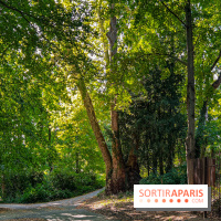 Parc de la Roseraie Châtenay - IMG 4461 jpg