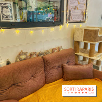 Chat-Rivari Café - IMG 4689