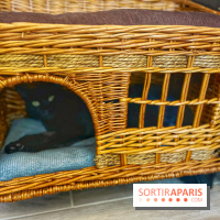 Chat-Rivari Café