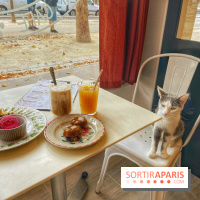 Chat-Rivari Café