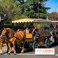 Tous en piste ! à Maisons-Laffitte (78): poneys, calèche et spectacles équestres gratuits au château