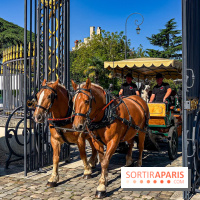 Tous en piste ! à Maisons-Laffitte (78): poneys, calèche et spectacles équestres gratuits au château - IMG 8081 jpg
