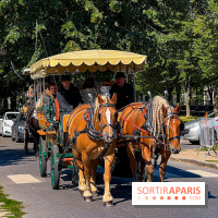 Tous en piste ! à Maisons-Laffitte (78): poneys, calèche et spectacles équestres gratuits au château - IMG 8210 jpg