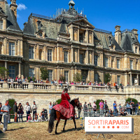 Tous en piste ! à Maisons-Laffitte (78): poneys, calèche et spectacles équestres gratuits au château - IMG 8311 jpg