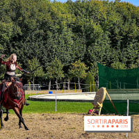 Tous en piste ! à Maisons-Laffitte (78): poneys, calèche et spectacles équestres gratuits au château - IMG 8370 jpg