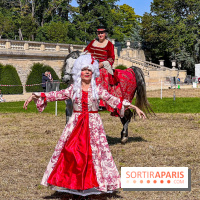 Tous en piste ! à Maisons-Laffitte (78): poneys, calèche et spectacles équestres gratuits au château - IMG 8385 jpg
