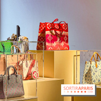 Exposition Louis Vuitton Cornette de Saint Cyr - IMG 8135 jpg