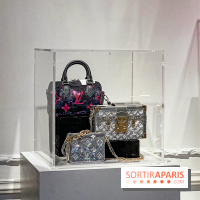 Exposition Louis Vuitton Cornette de Saint Cyr - IMG 8138 jpg