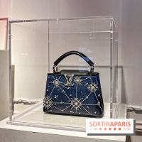 Exposition Louis Vuitton Cornette de Saint Cyr - IMG 8155 jpg