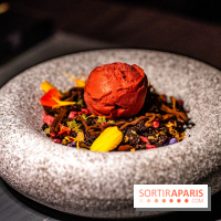 Aqua Kyoto Paris, le rooftop japonais sur les Champs-Elysées - photos - A7C07336