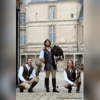 Les aigles des remparts