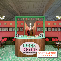 Rock'n' Drôle : l'exposition rock et gratuite d'Antoine de Caunes au Bon Marché Rive Gauche - IMG 7753 jpg