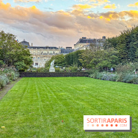 Saison Brésil-France 2025 : sculptures contemporaines au Palais-Royal - IMG 7315