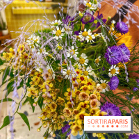 Les filles d'à côté - IMG 5233