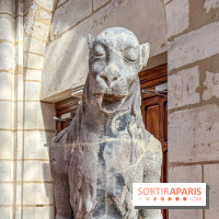 Visite des tours de Notre-Dame de Paris - IMG 7440