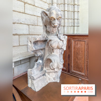 Visite des tours de Notre-Dame de Paris
