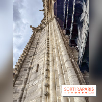 Visite des tours de Notre-Dame de Paris